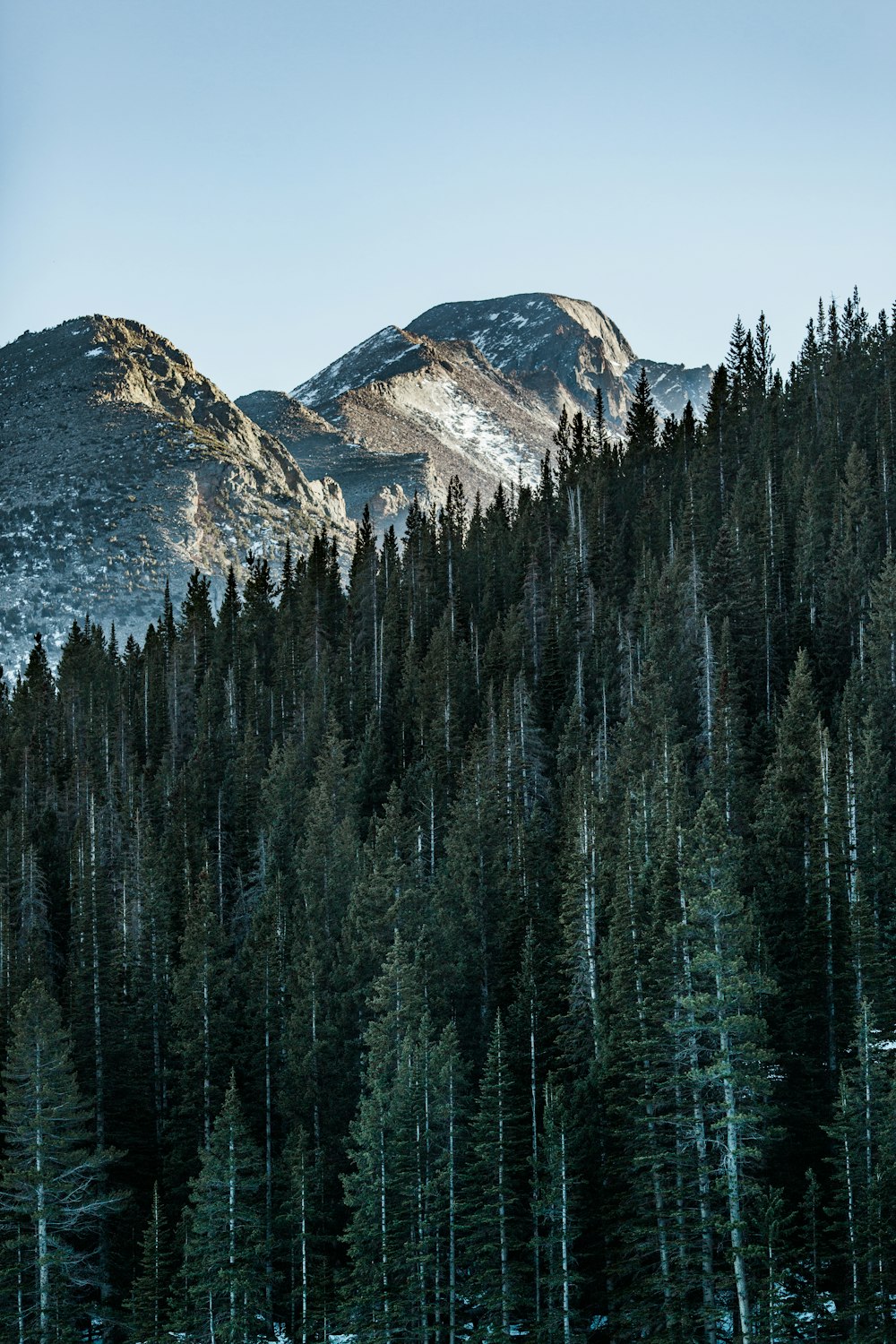 Árboles cerca de la montaña bajo el cielo azul durante el día