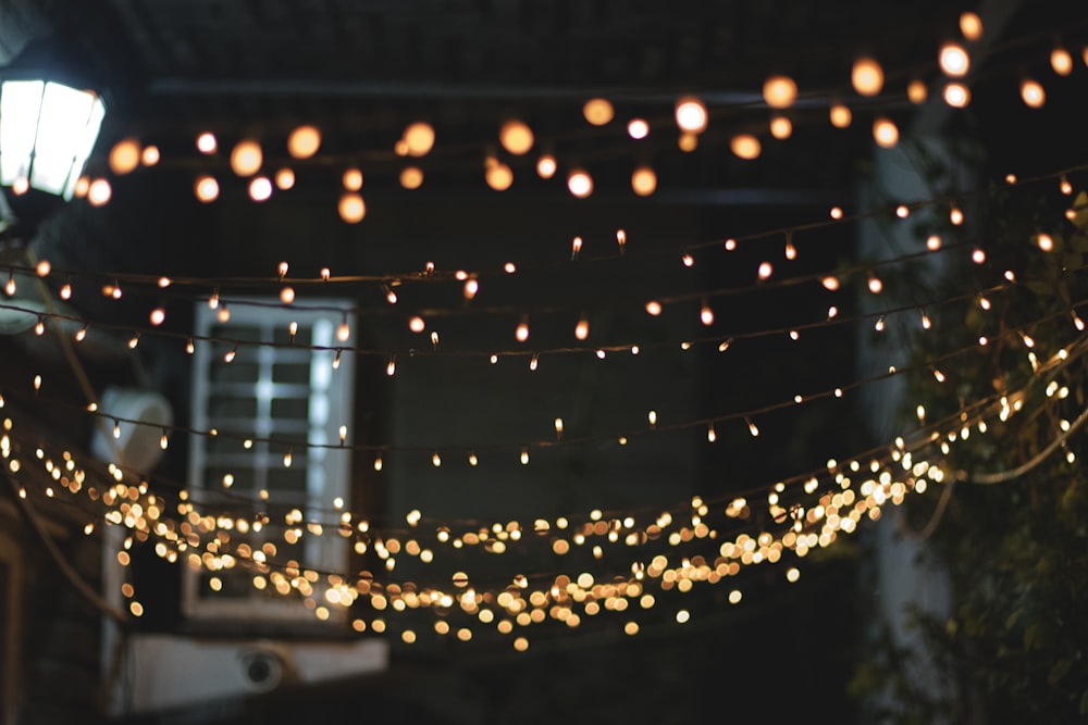 yellow string lights lighted during nighttime