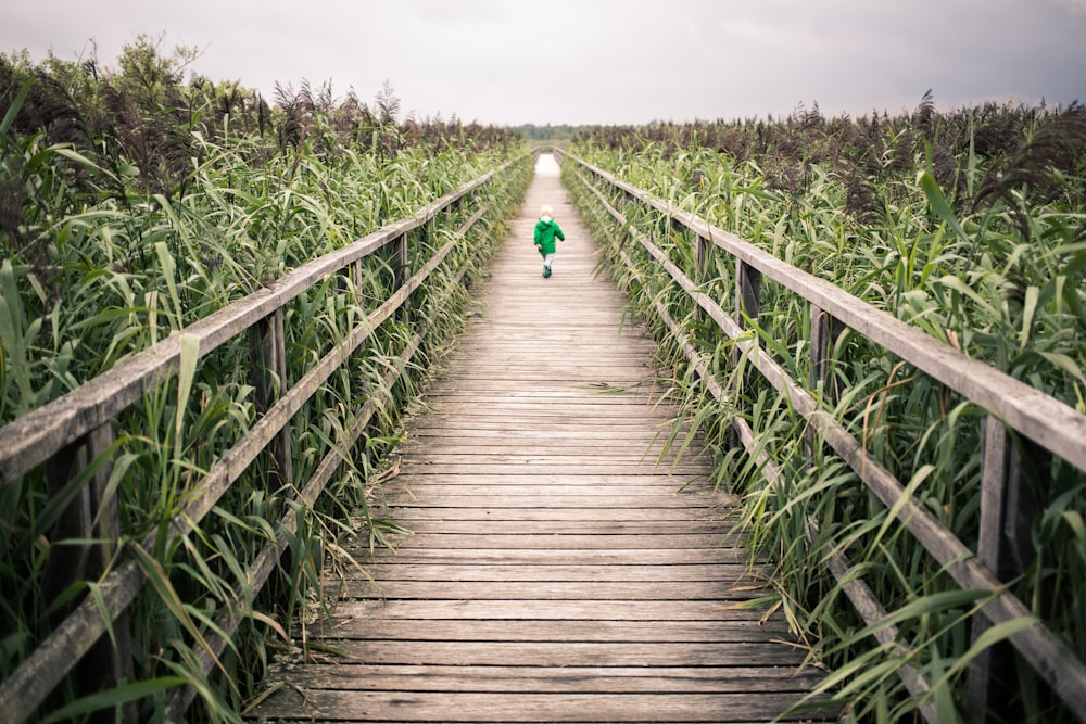 bambino che cammina sul ponte vicino al campo di mais durante il giorno