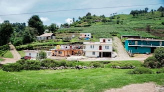 A rural landscape features several houses surrounded by lush green farmland and vegetation. Rolling hills in the background add depth to the scene. The central house is distinctively multicolored, and there are various paths leading to the different homes. Trees and shrubs border the area, providing a natural frame.