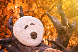 Porcelain tombstone featuring a smooth finish and detailed craftsmanship under soft natural light