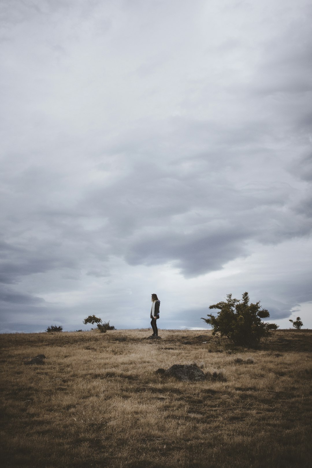 person standing near tree under cloudy sky