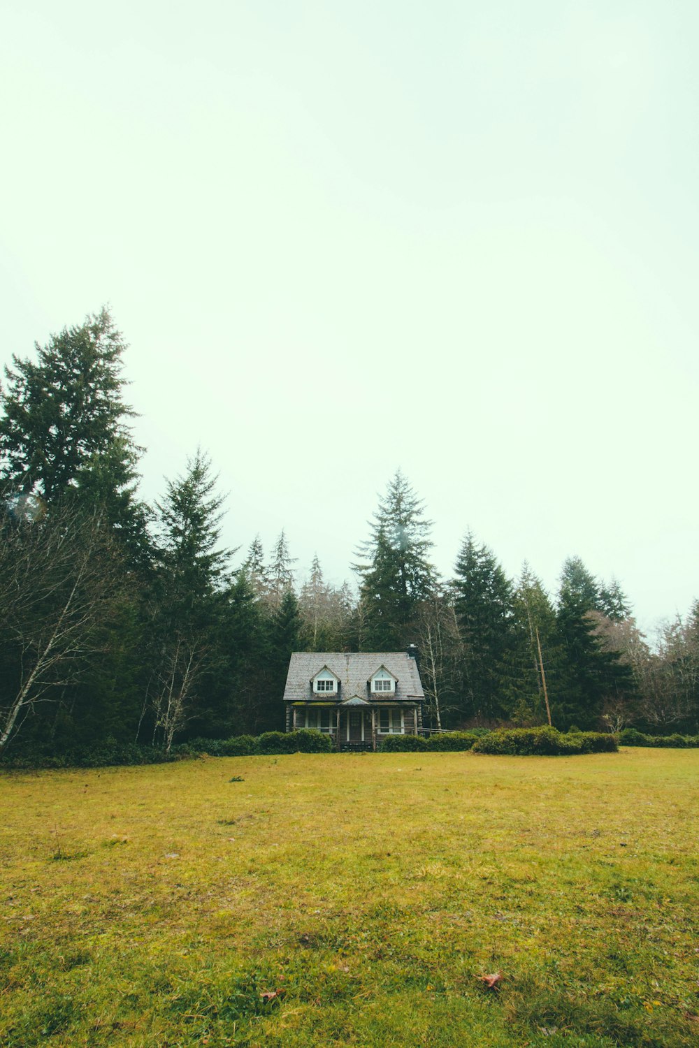 gray and white house near pine trees