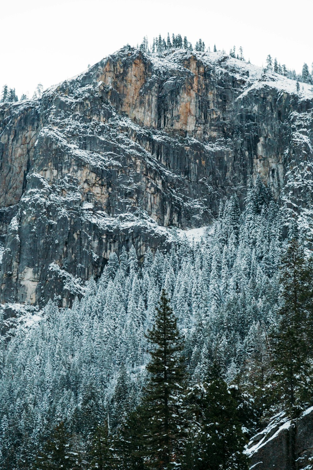 montanha coberta de neve sob o céu durante o dia