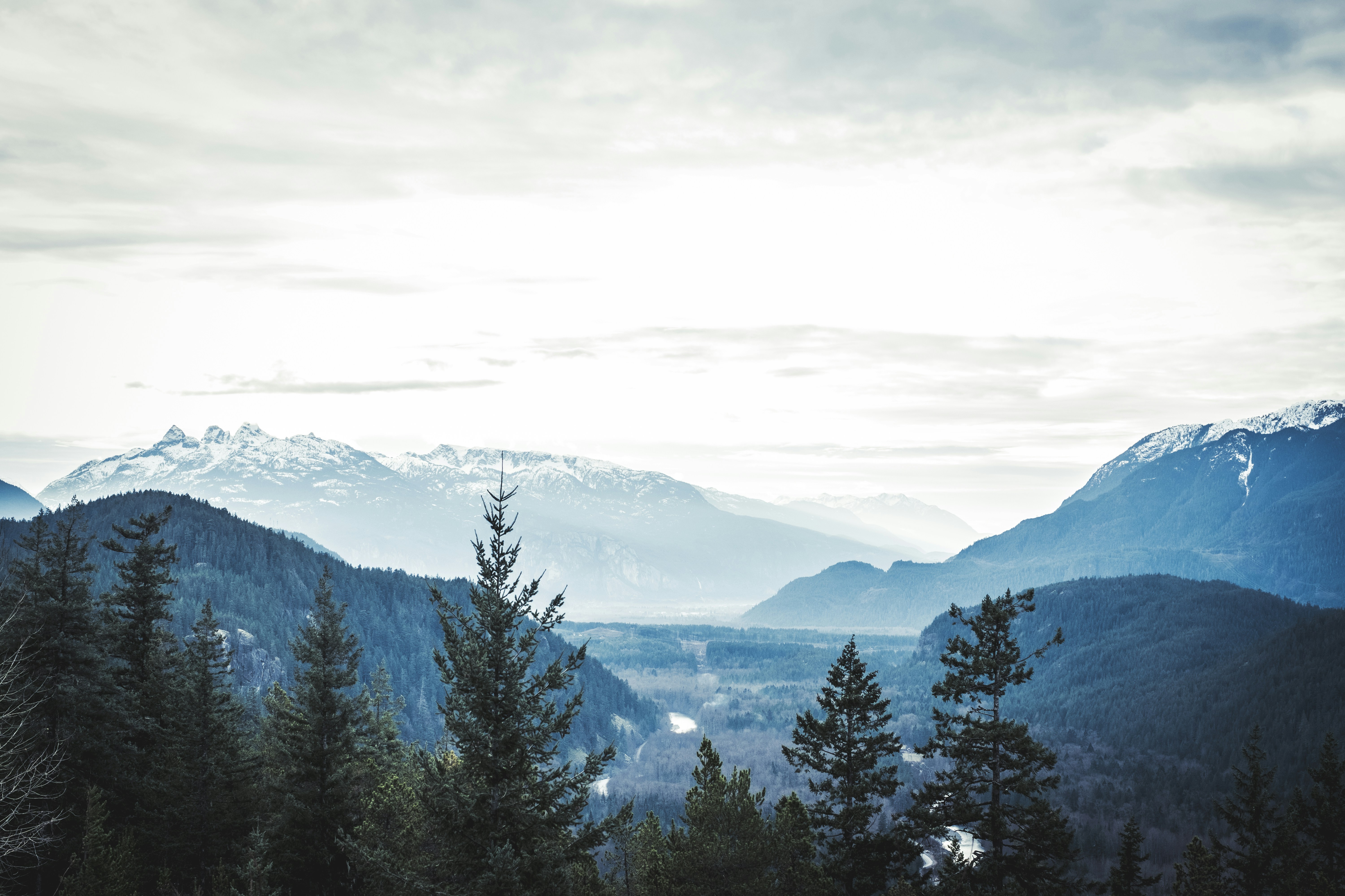 Photo by lanceanderson