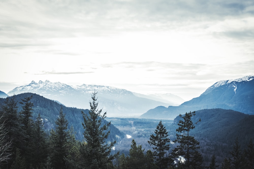 snow covered mountain with sea of clouds