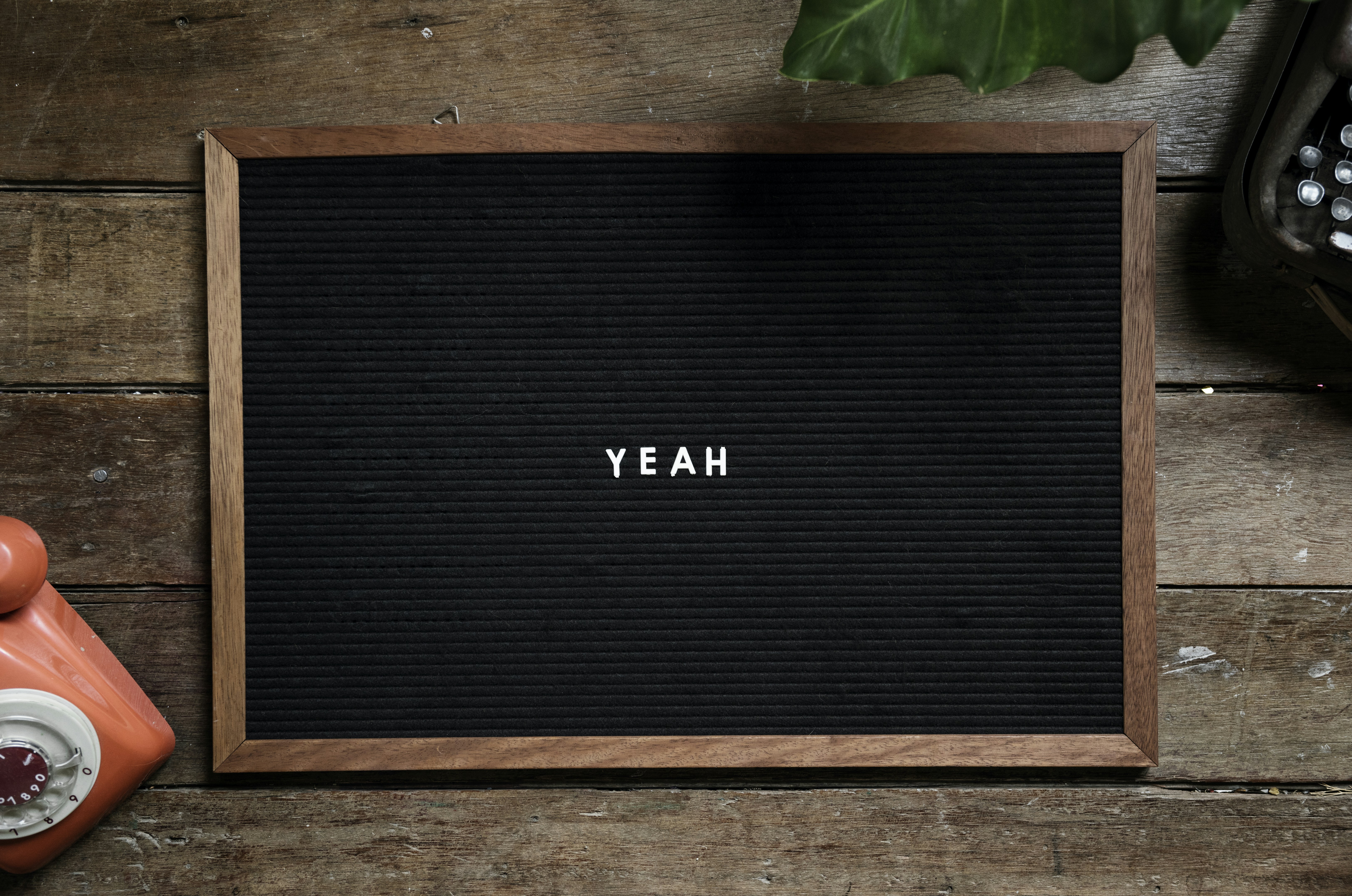 photo 1513646564457 a62261e23542?ixlib=rb 0