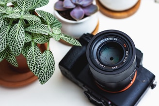 Camera for filming videos