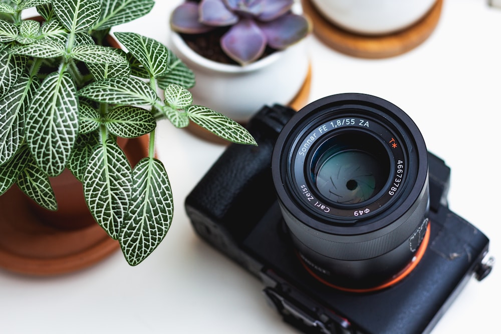 茶色の鉢と緑の植物の近くの黒いフィルムカメラ