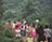 A group of children and a few adults are walking along a path surrounded by lush greenery. The children are wearing casual outfits, with some sporting bright colors. The forested background is dense with a variety of trees and foliage, creating a serene and natural setting.