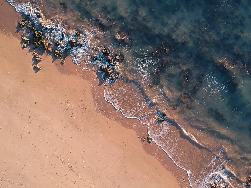 aerial photo of beach shore