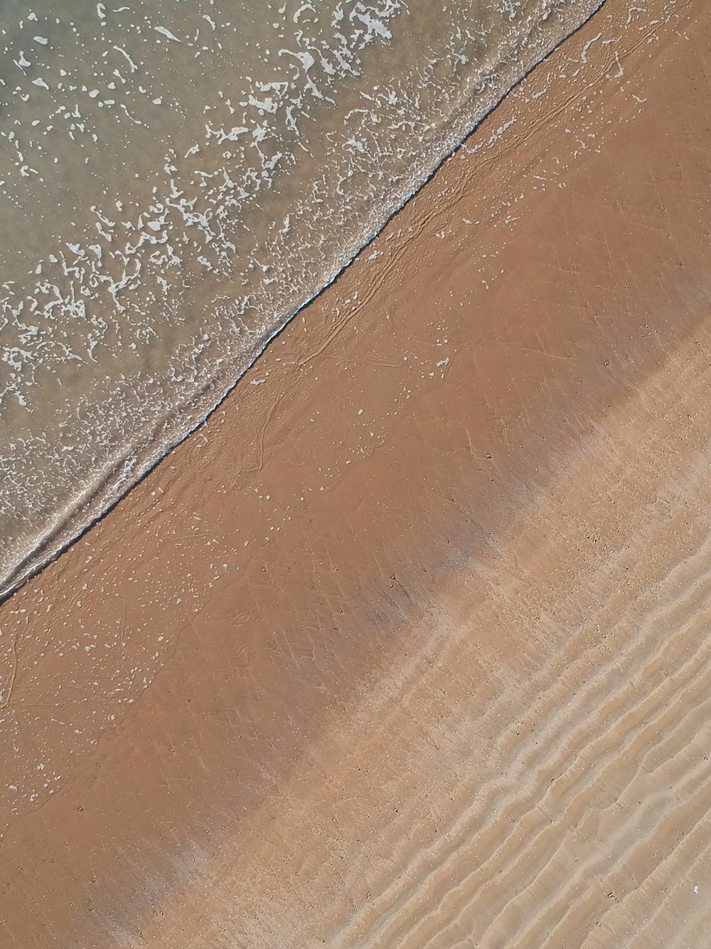 Fotografía aérea de la orilla del mar durante el día