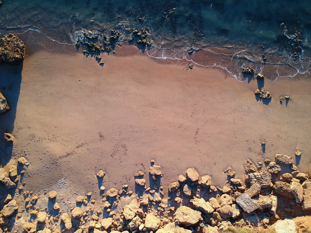 brown sand beside body of water