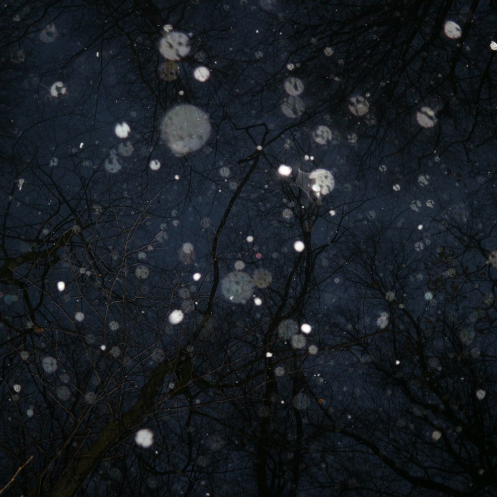 Una escena nocturna con nieve cayendo de los árboles