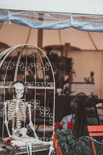 A skeleton dressed with headphones is seated inside a decorative open birdcage. The scene is set in what appears to be a tent or gazebo furnished with assorted items including chairs and tables. There are flowers in pots placed nearby, and some red flowers are in the foreground adding color to the image.