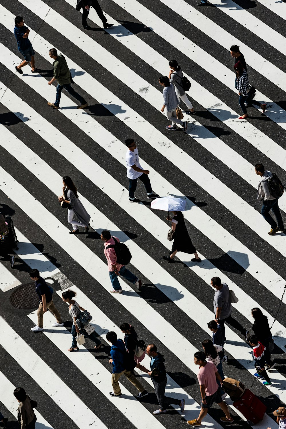 Crossing Road Pictures  Download Free Images on Unsplash