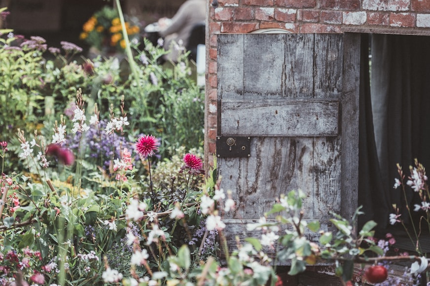 A damaged garden shed