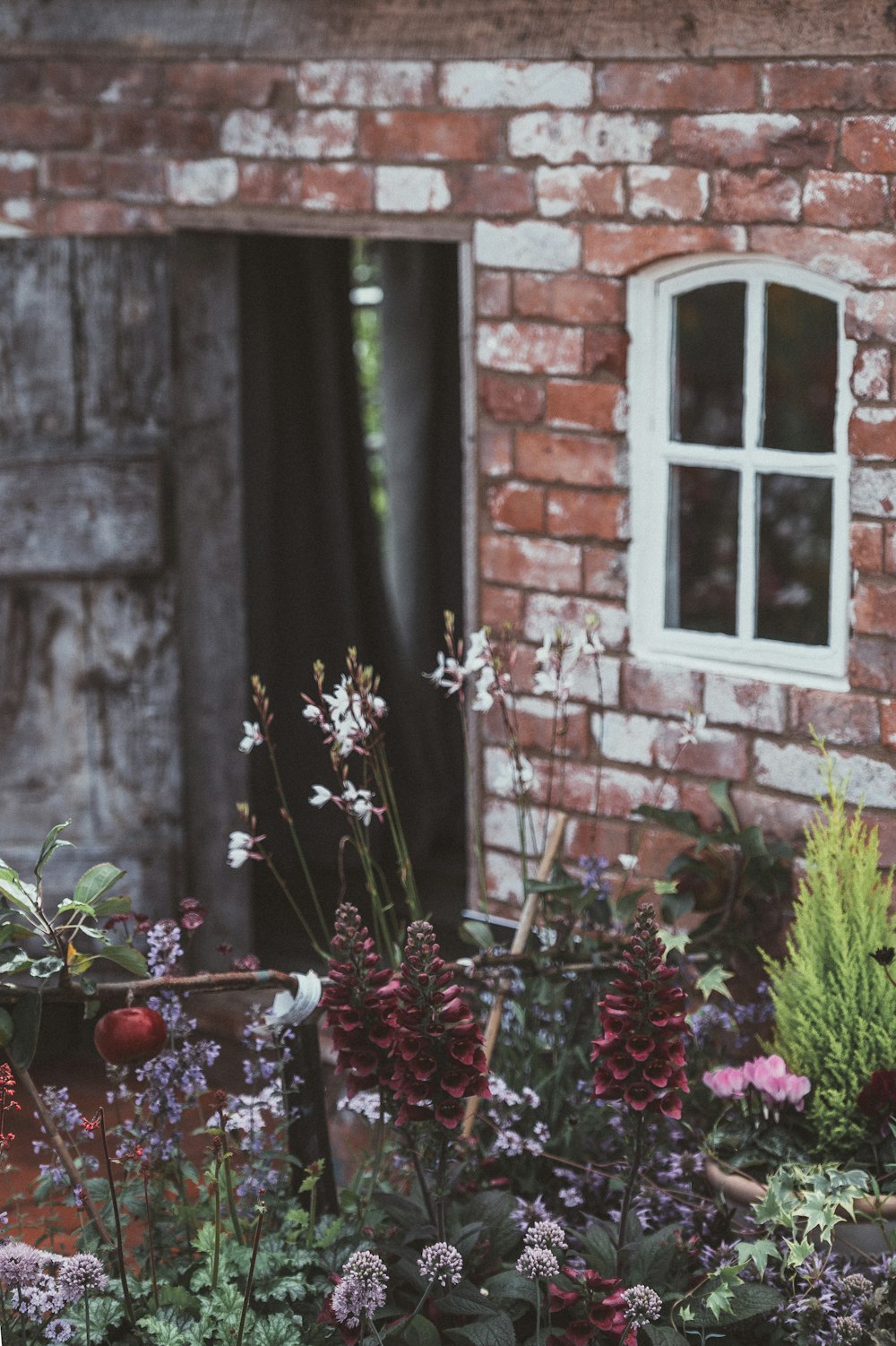 assorted color flowers near the brick wall