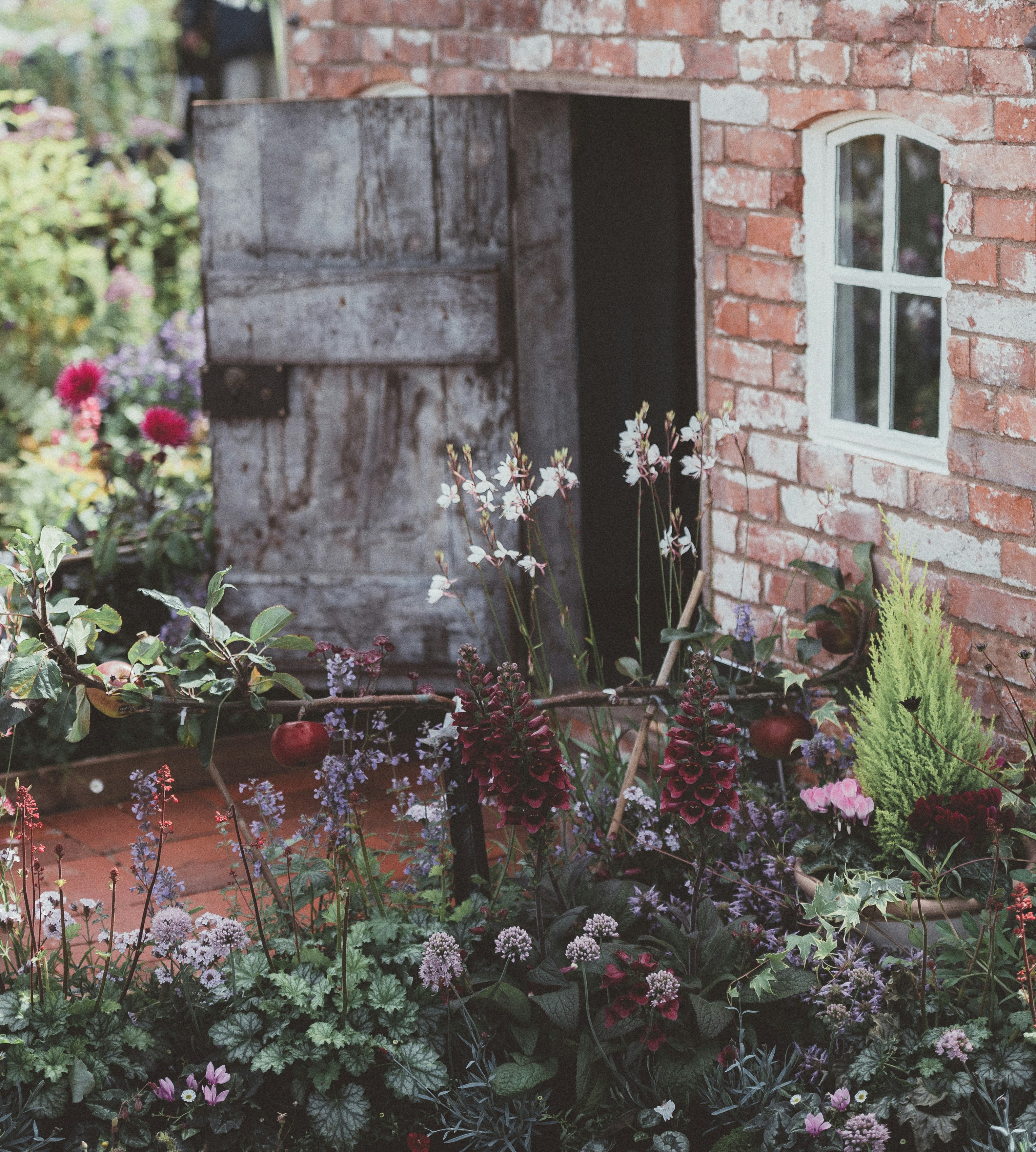 Photo by anniespratt