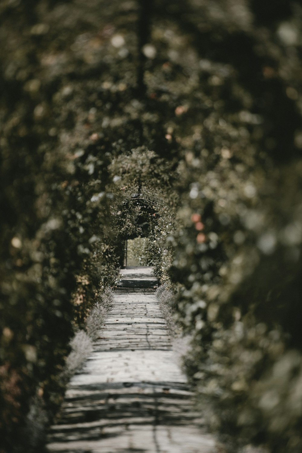 bokeh photography of archway