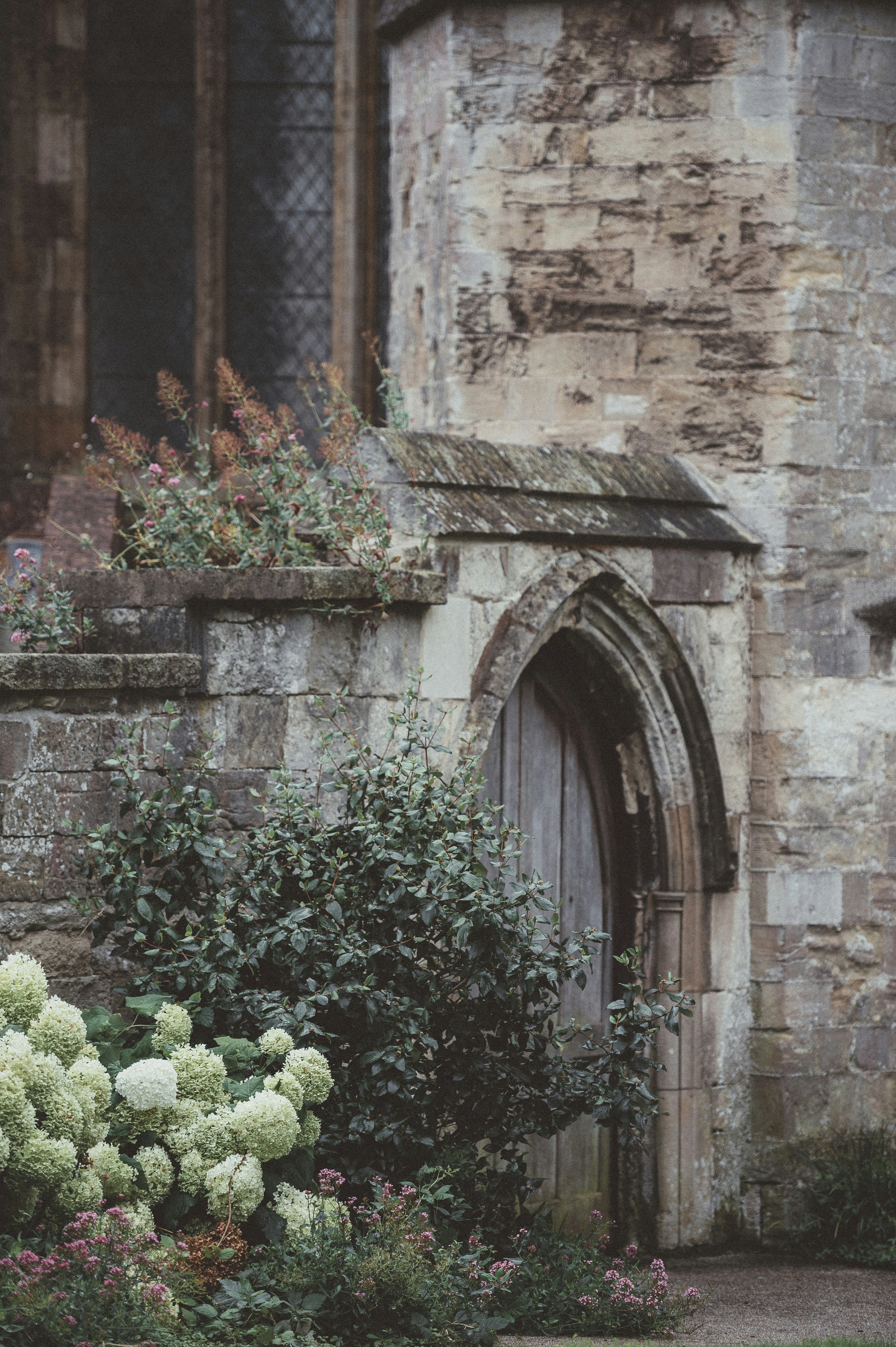 Photo by anniespratt