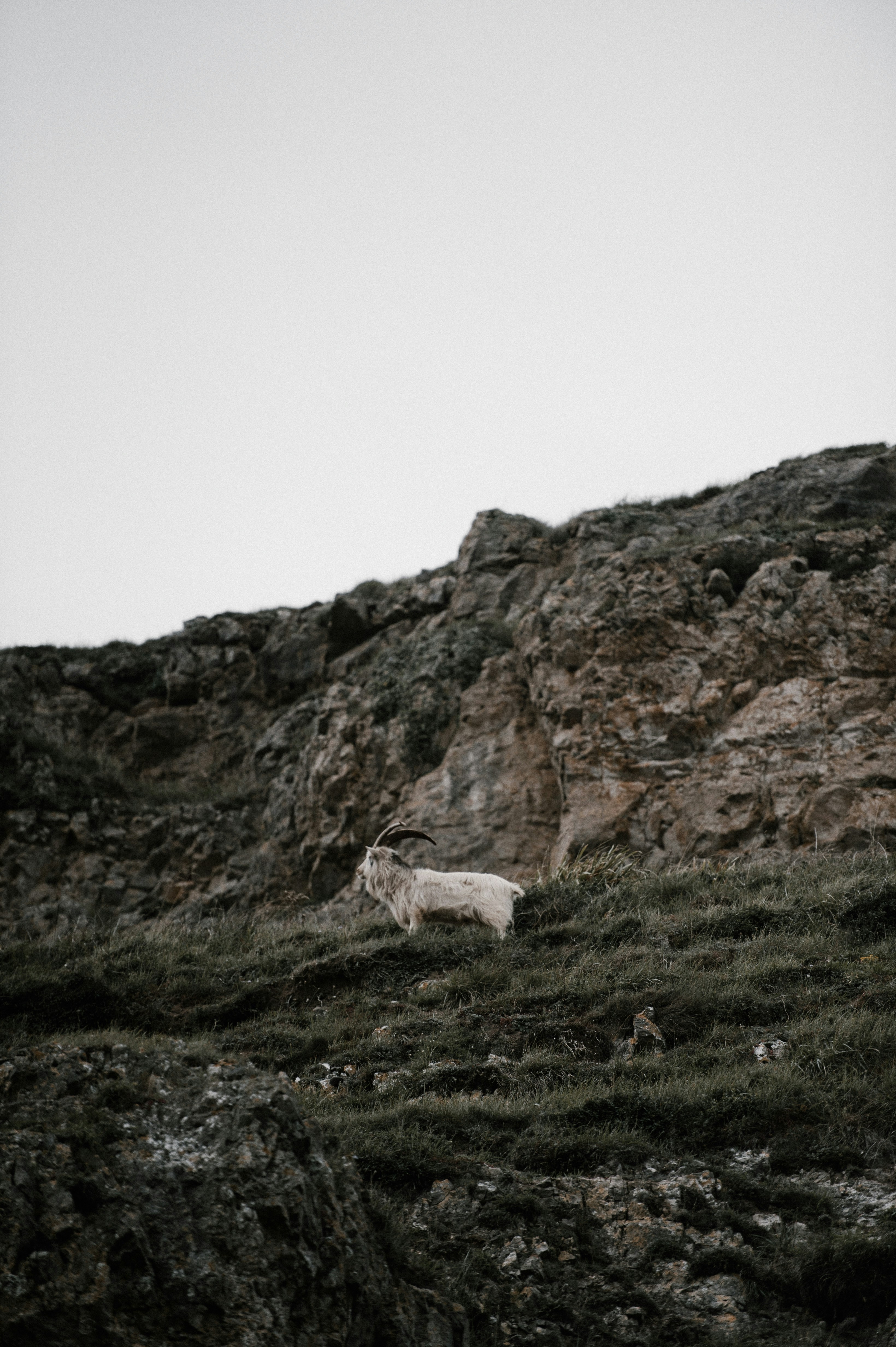 Photo by anniespratt
