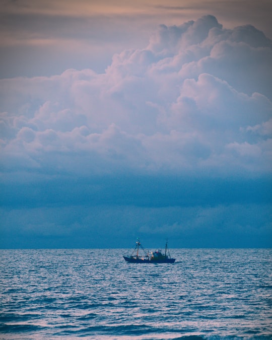 cargo ship in body of water in Westende Belgium