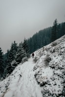 man standing on mountain with snow beside trees