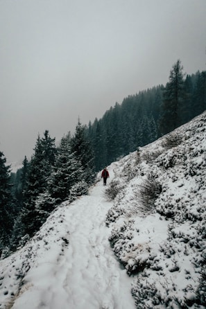 man standing on mountain with snow beside trees