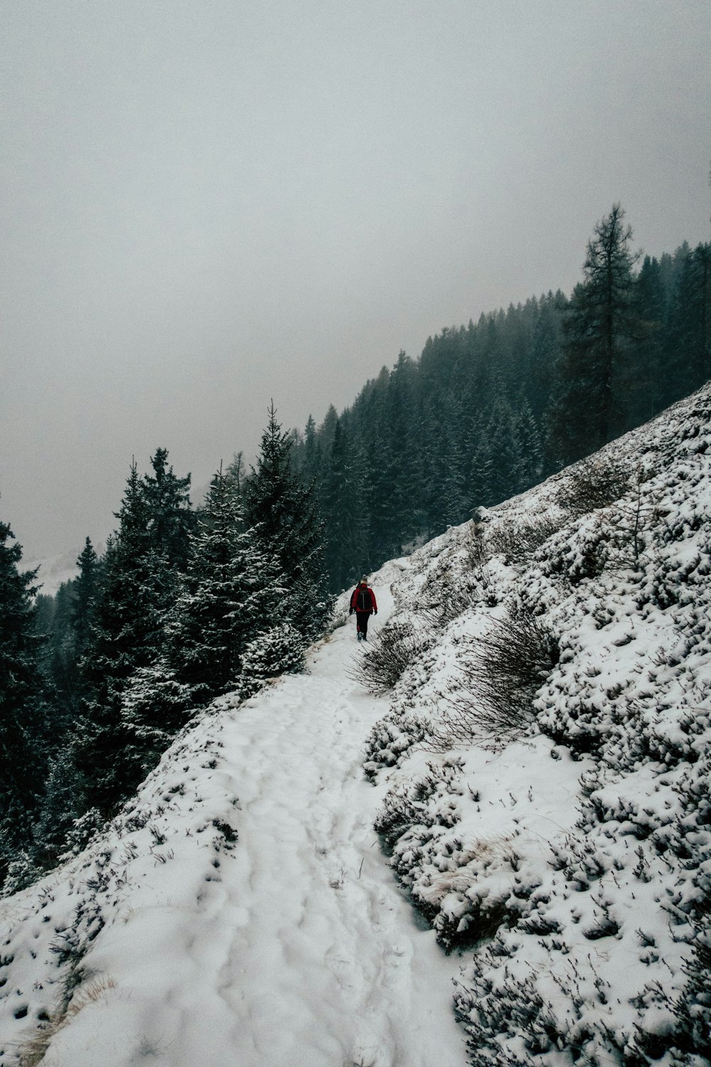 man standing on mountain with snow beside trees