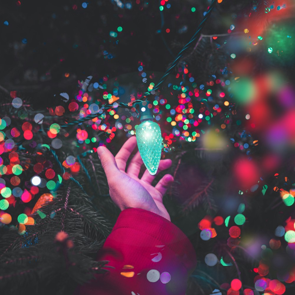 bokeh photography of person holding green string light