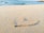 heart drawn on sand during daytime