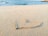 heart drawn on sand during daytime