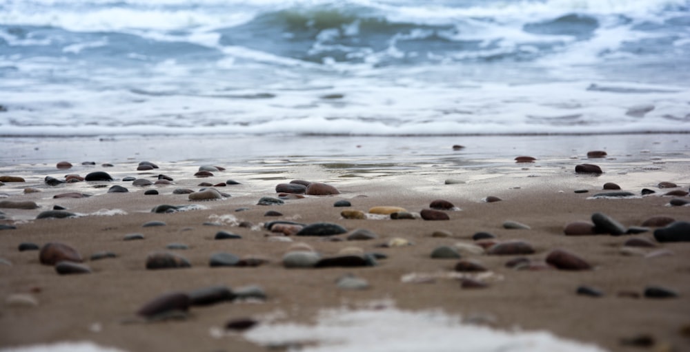 seashore during daytime