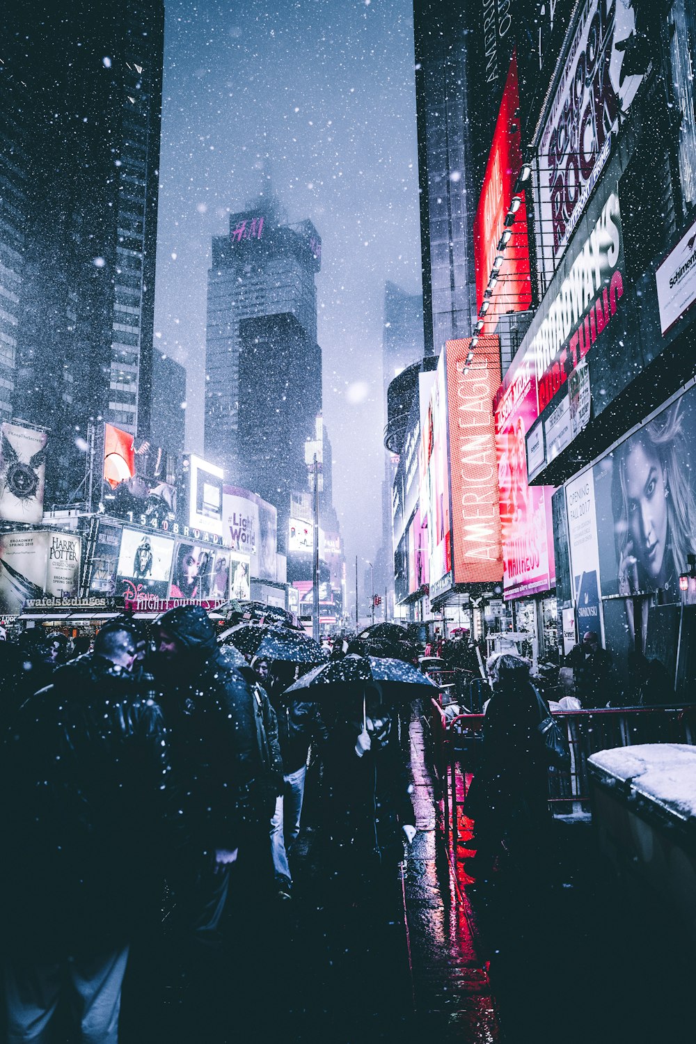 people holding umbrella between building