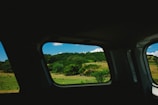 A scenic view of lush green fields in Punjab as seen from a moving taxi window.