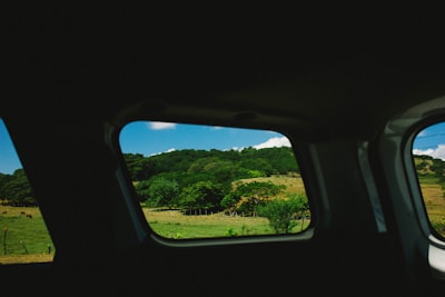 A scenic view of lush green fields in Punjab as seen from a moving taxi window.