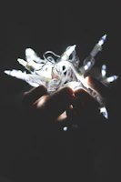 Close-up of hands wrapping a delicate lamp in protective bubble wrap.