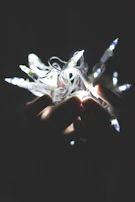 Hands holding a bundle of flexible wires, highlighting their strength and flexibility.