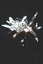 Hands packaging a delicate lighting fixture carefully for shipping.