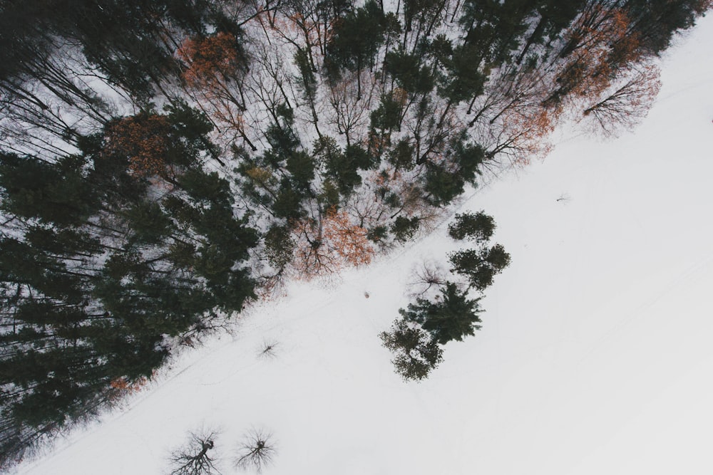 aerial photography of mountain