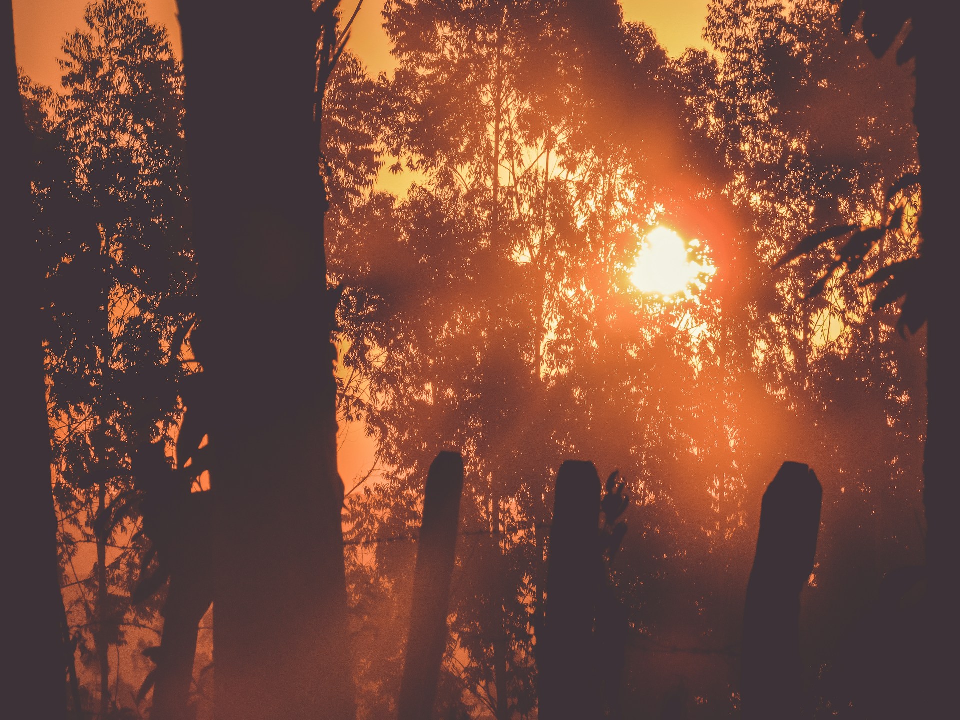 woman wearing yellow long-sleeved dress under white clouds and blue sky during daytime