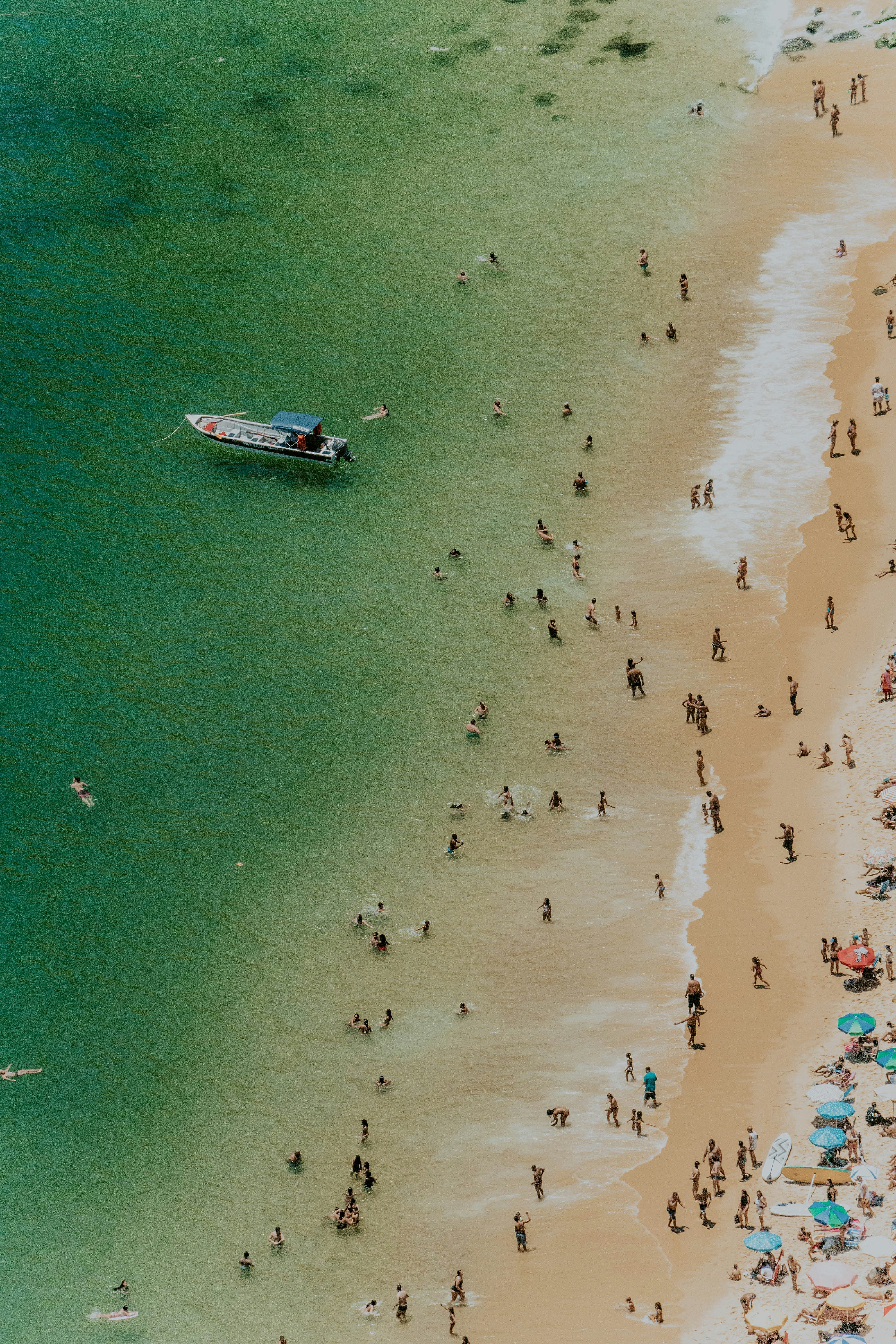 people on beach during daytime