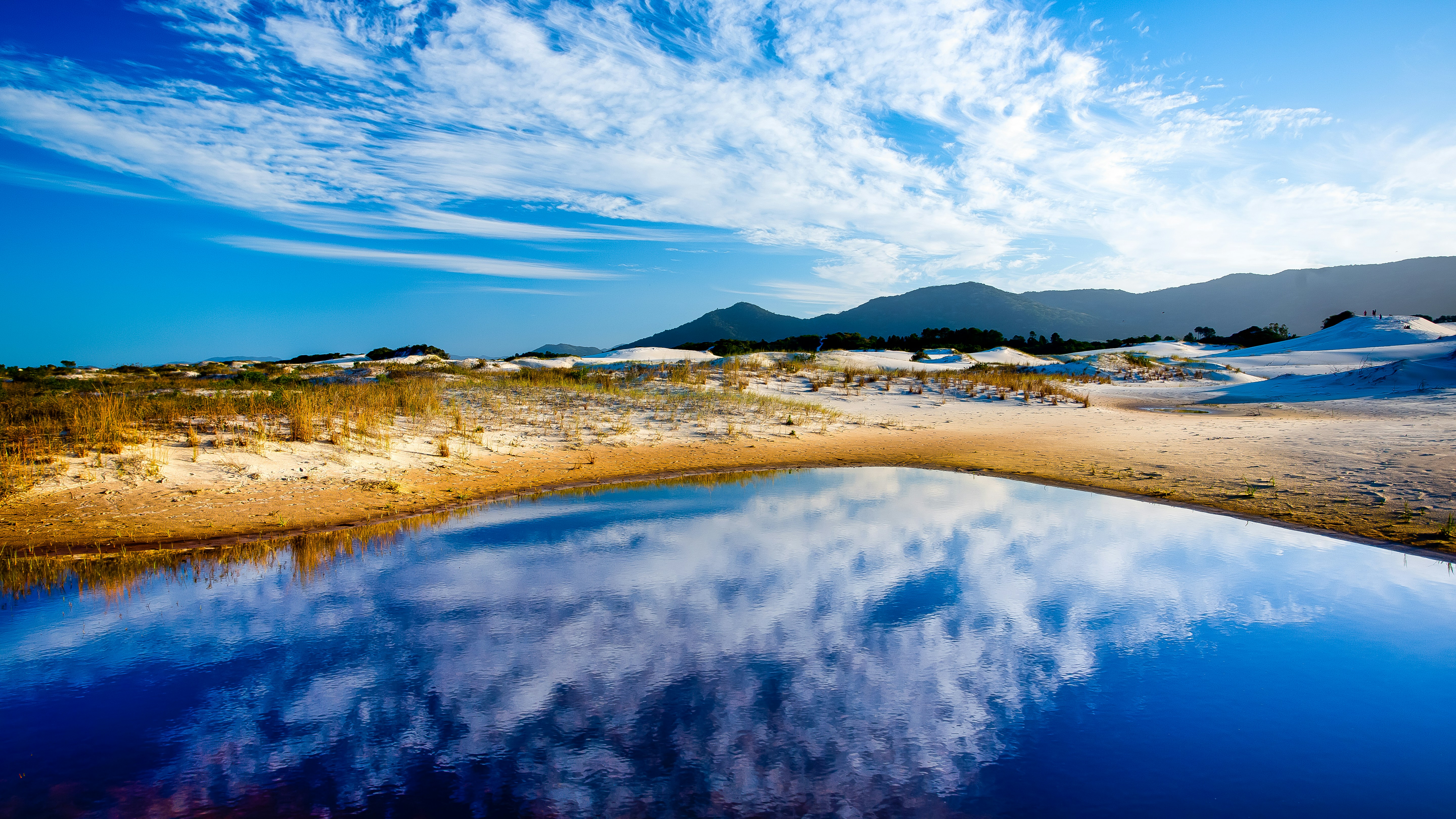 ���� ���� ������ �� ���� ������