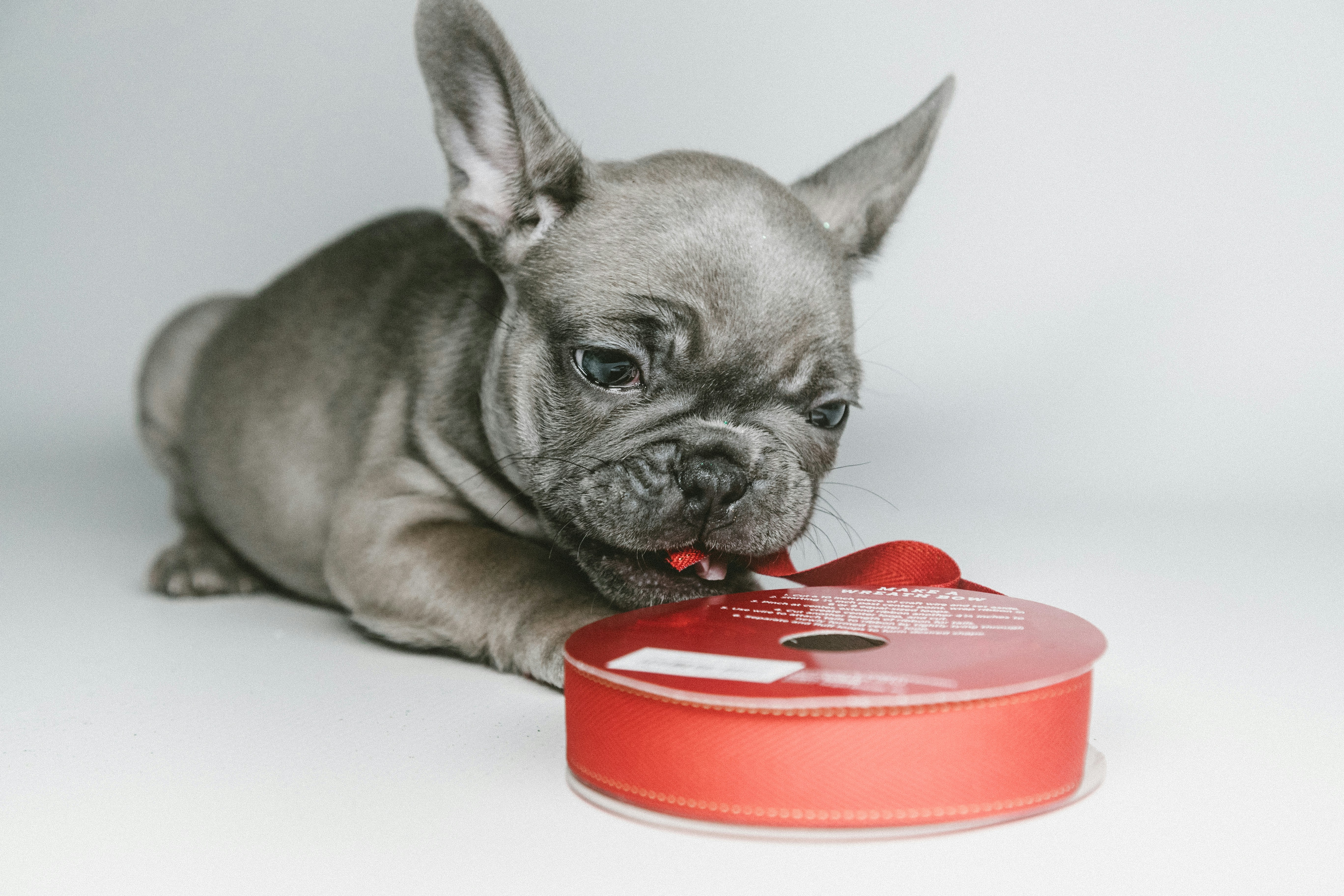 When Are These Behaviors Healthy?