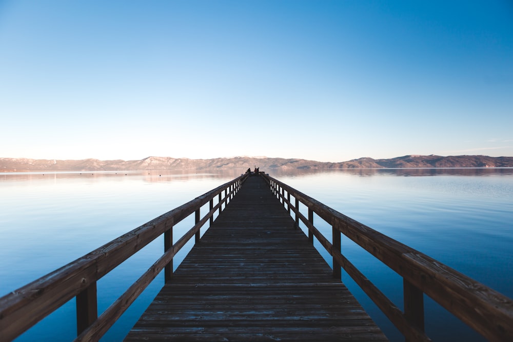 brown wooden dock on body of water during daytime