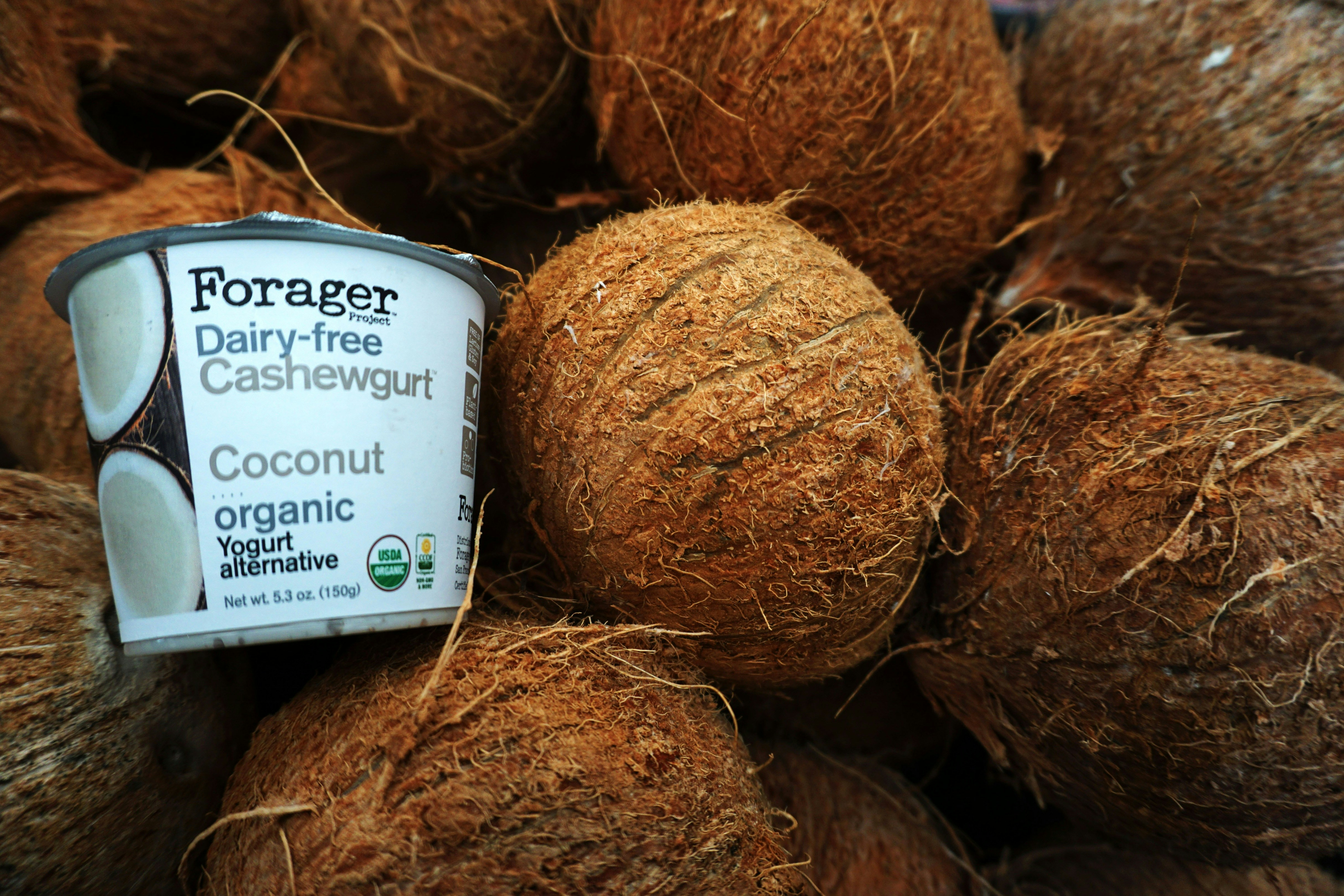 Premium Coco Peat for Sale