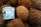 Several coconuts with rough, brown husks are piled closely together. A container of Forager Project Dairy-free Cashewgurt Coconut Yogurt alternative is placed in front, prominently displaying its label and branding.