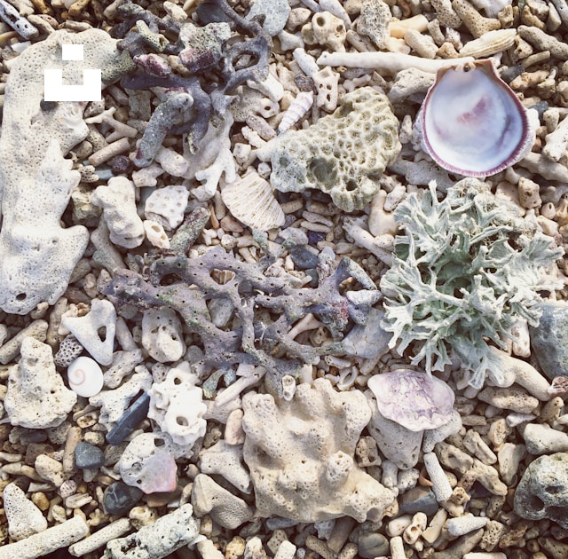 UnsplashのCatrin Johnsonが撮影した写真