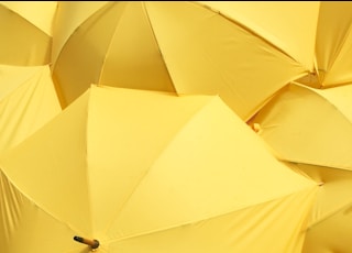 yellow umbrella